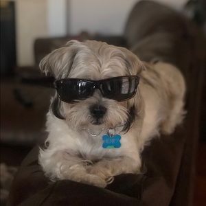 Meet your Posher, Vianey